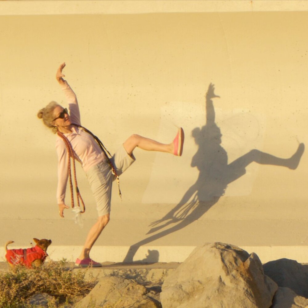 Meet your Posher, Buy Cycler